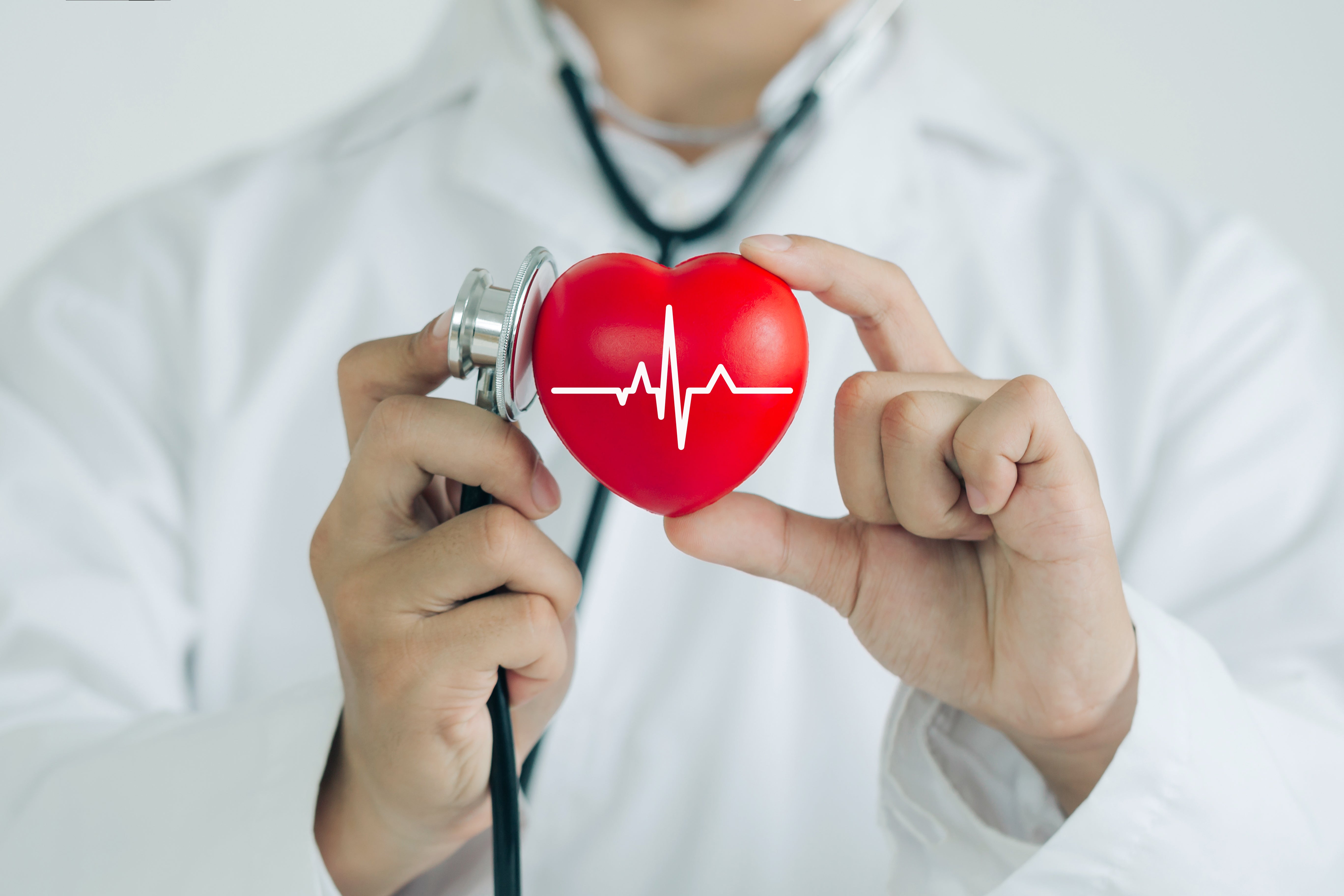 Unlocking the Potential: Magnesium's Crucial Role in Cardiovascular Health