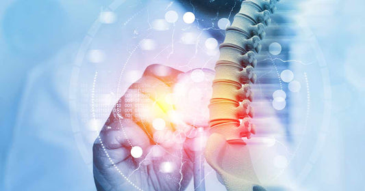 The Surprising Causes of Poor Bone Health and Top Ways to Build Healthy Bones