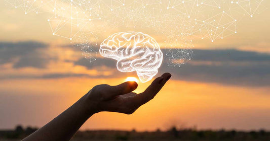 Top Ways To Improve Cognition/Memory and Brain Health