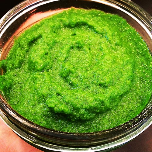 Green Cleanser Smoothie