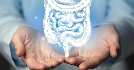 The Shocking Results of Poor Gut Health