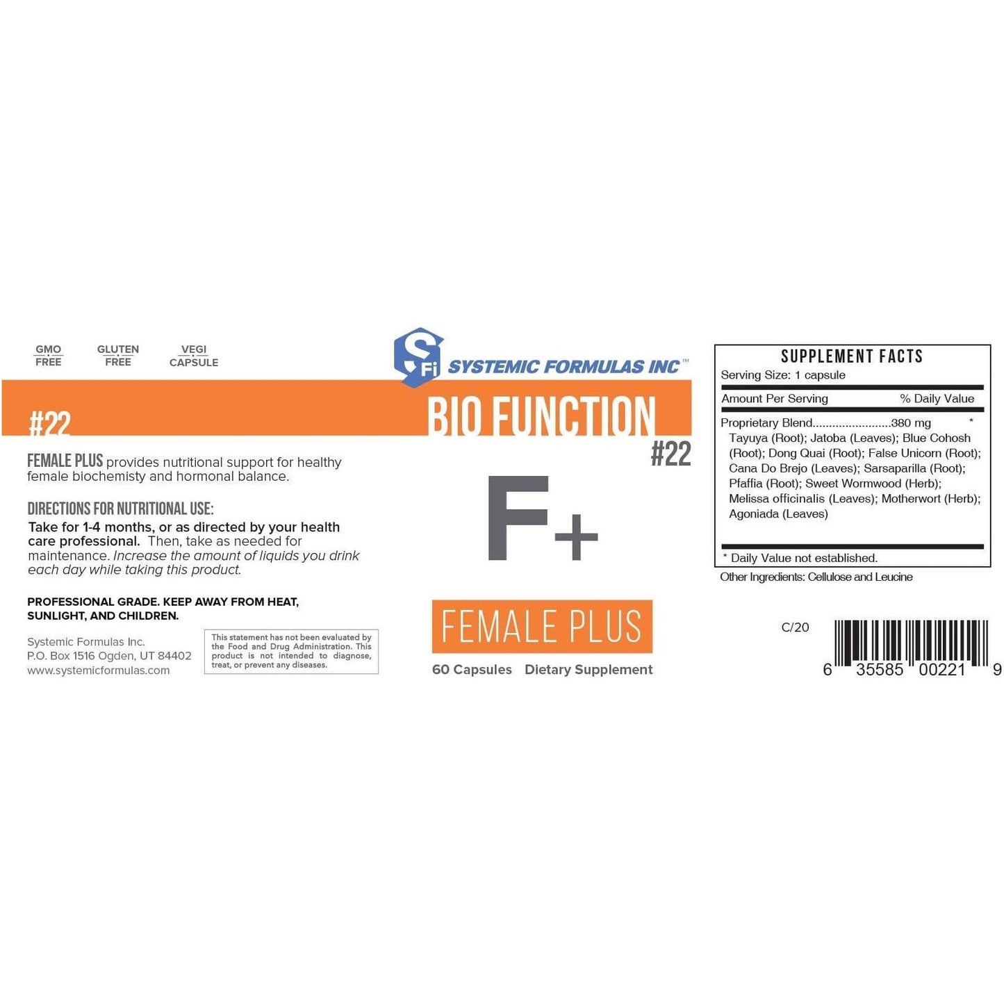 F+ - FEMALE PLUS