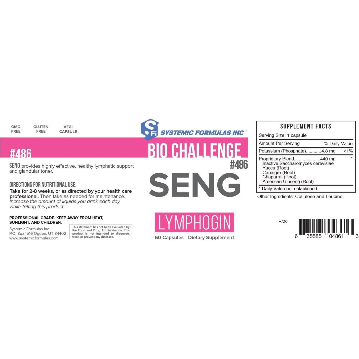 SENG