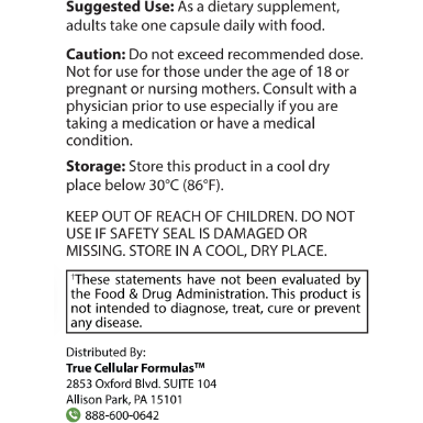 Blood Sugar Support