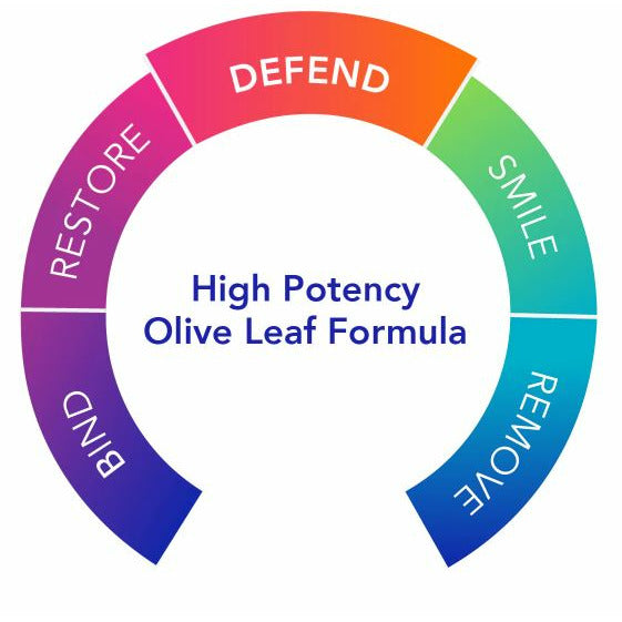 Olivirex High Potency Olive Leaf Combination