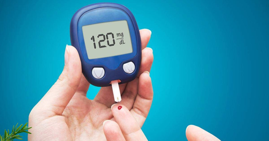 Afternoon Energy Crash: How Blood Sugar Balance Affects Daily Energy