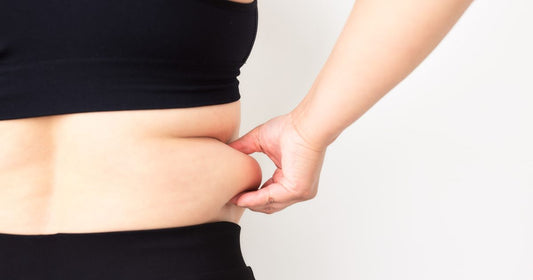 Fat-Burning Without Stimulation: A Cellular Strategy for Supporting Metabolic Function With BerberBurn+™