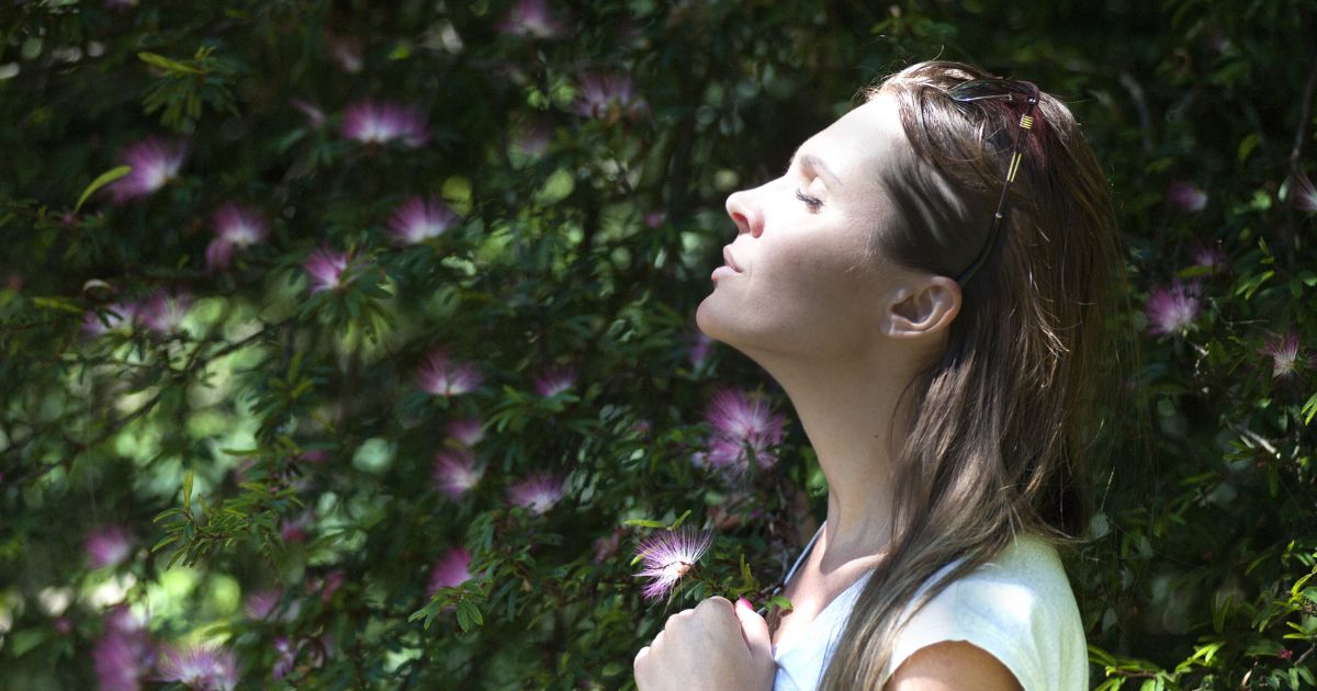 Finding Calm Again: Supporting the Nervous System in a Constantly Connected World