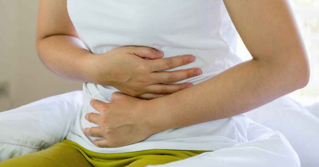 Gut-Brain Burnout: Why Healing the Microbiome Is Key to Focus, Mood, and Mental Energy