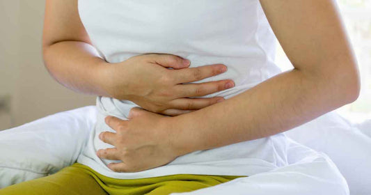 Gut-Brain Burnout: Why Healing the Microbiome Is Key to Focus, Mood, and Mental Energy