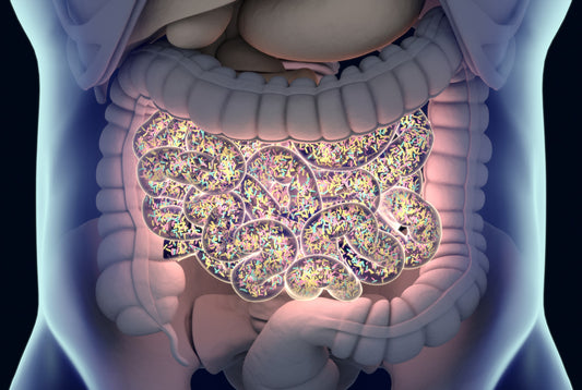 Microbiome and Toxins: How They Impact the Gut