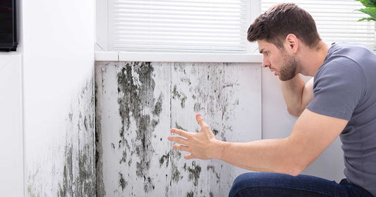 Identifying the Signs of Mold Sensitivity: Key Symptoms to Watch for Early Intervention