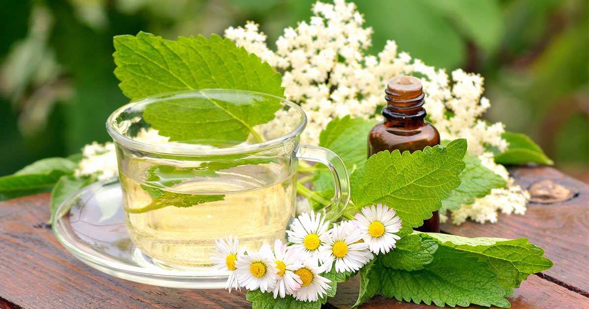 Natural Herbs for Mood Support, Stress Management, and Anxiety Relief