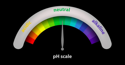 Understanding Alkaline and Acidity