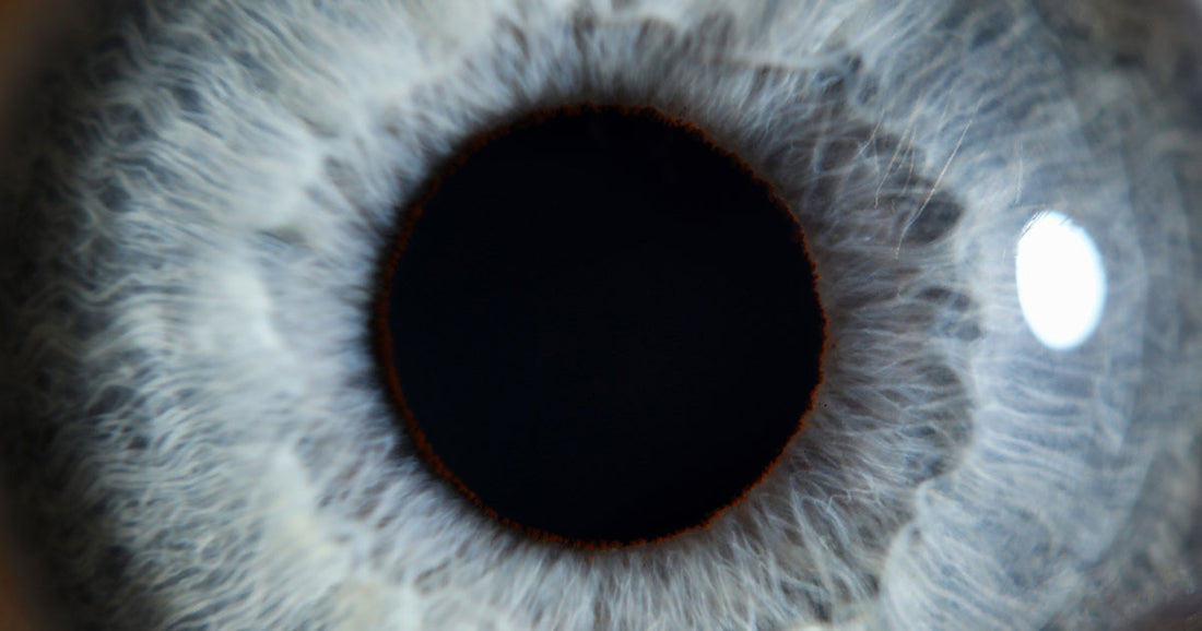 Ways to Improve Your Eye Health in a Digital World