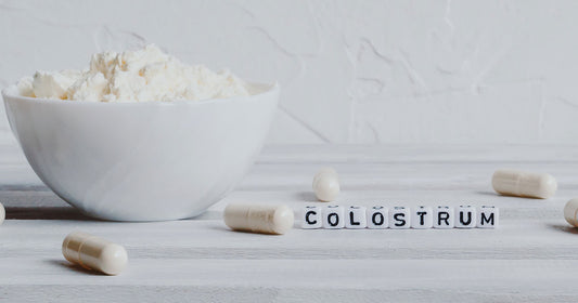 Colostrum for Gut Healing