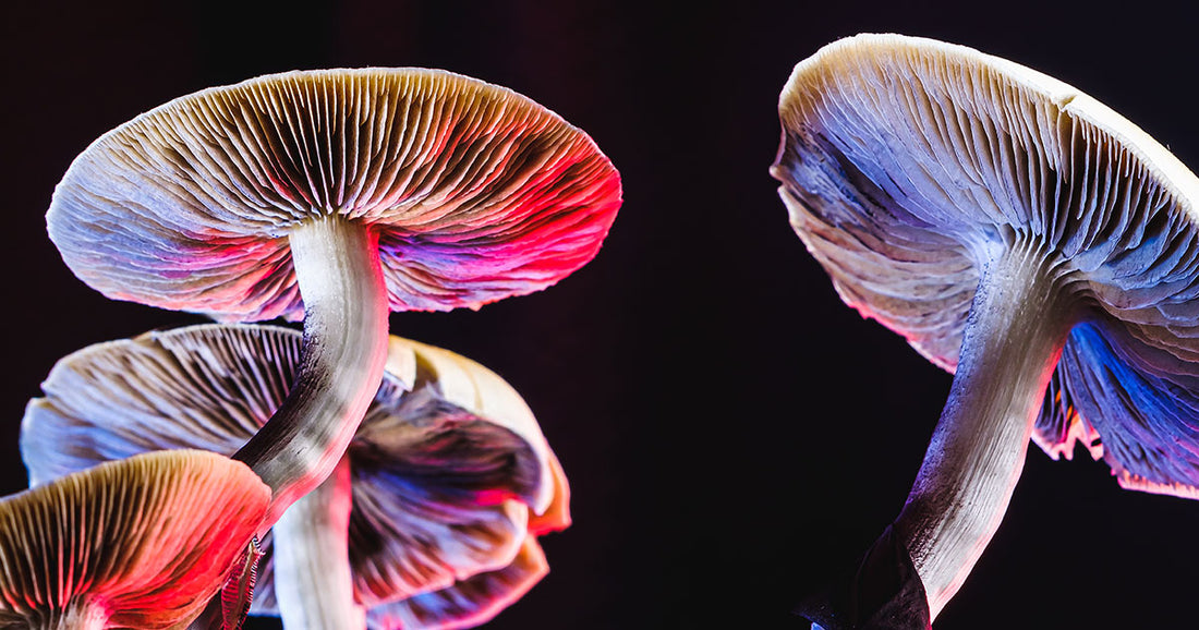 The Benefits of Microdosing Psychedelics