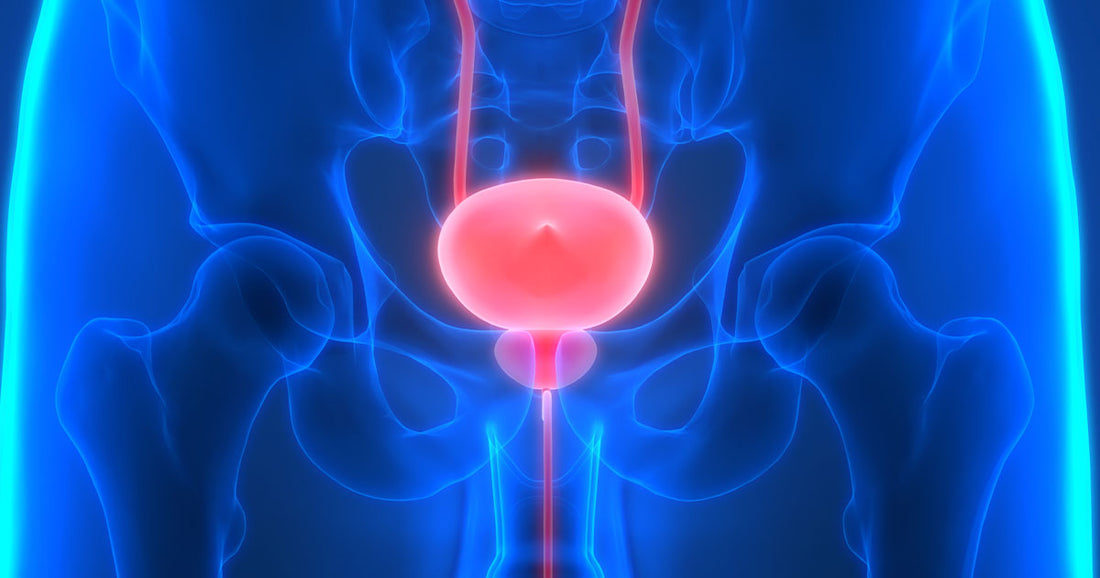 Prostate Health And Supplement Recommendations