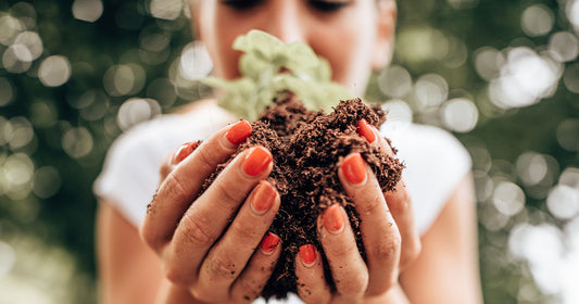 ION* For Gut Health: Understanding Soil Based Organisms