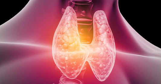 Supplements to Support Thyroid Function: A Comprehensive Guide