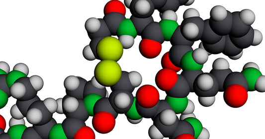 What Is Vasopressin: A Powerful Nootropic