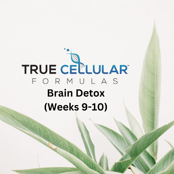 Brain Detox (Weeks 9-10)