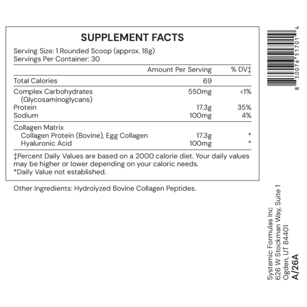 Collagen ECM