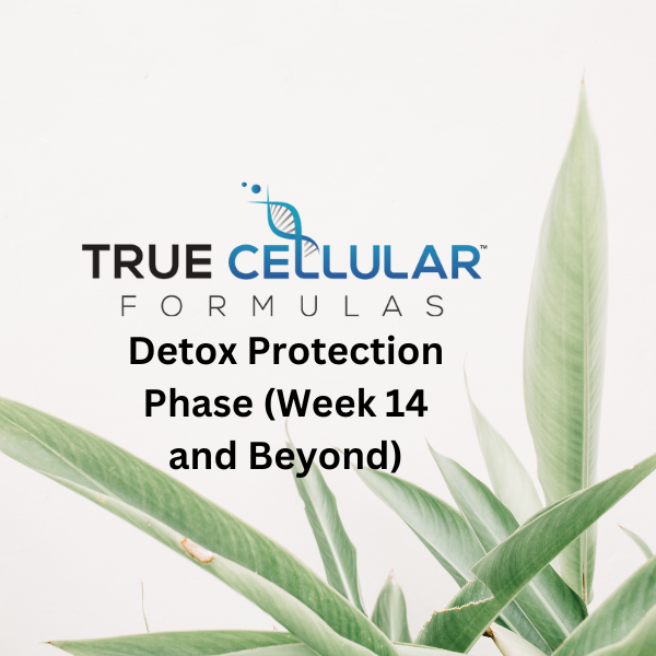 Detox Protection Phase (Week 14 and Beyond)