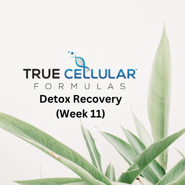 Detox Recovery (Week 11)