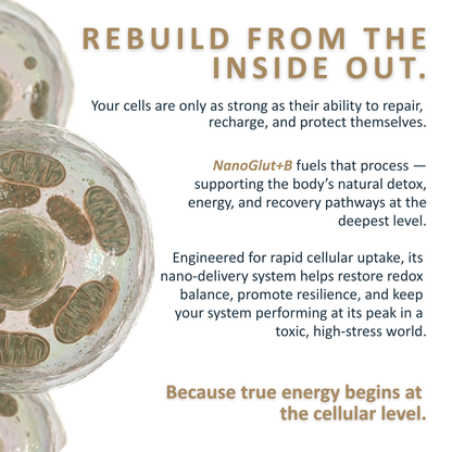 NanoGlut+B