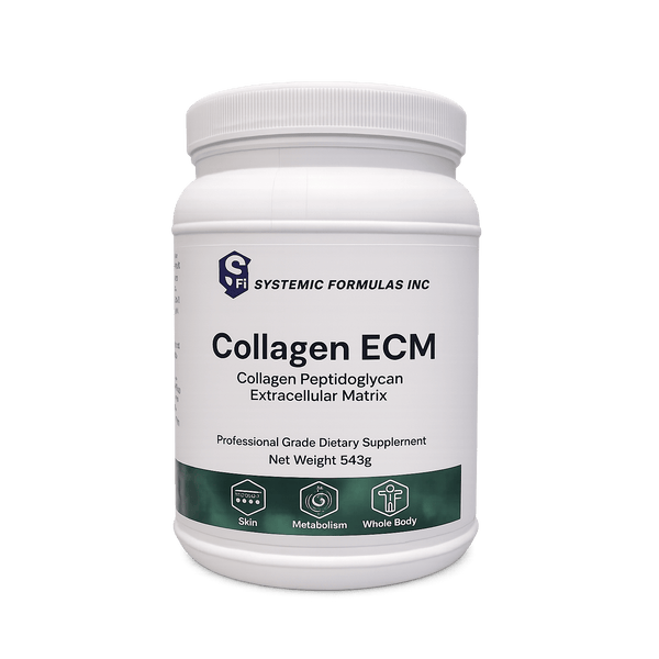Collagen ECM