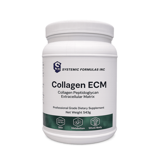 Collagen ECM
