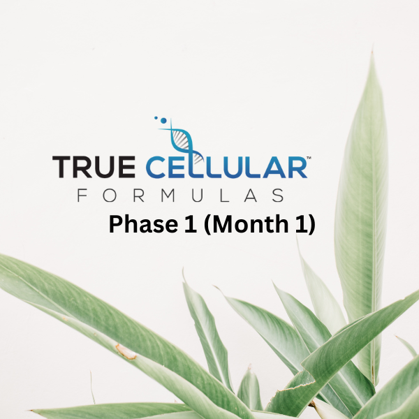 TCF Phase 1 (Month 1)