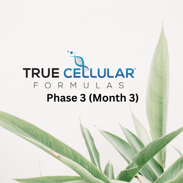 TCF Phase 3 (Month 3)